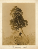 One of the photographs taken on Forrest's expeditions to China