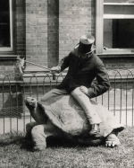 Walter 2nd Lord Rothschild and his giant tortoise 'Rotumah'