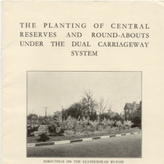 The planting of central reserves and round-abouts