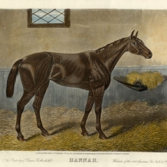 Engraving of Hannah
