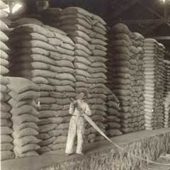 Fire protection at a coffee warehouse