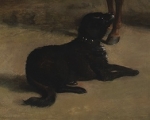 Detail of dog